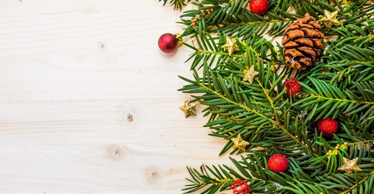 christmas tree ornaments decorations fir fir tree christmas ornaments christmas decorations branches stars christmas background christmas wallpaper branch christmas christmas balls conifer coniferous needles pine pine cone season wooden surface christmas season christmas tree christmas background christmas christmas christmas christmas christmas