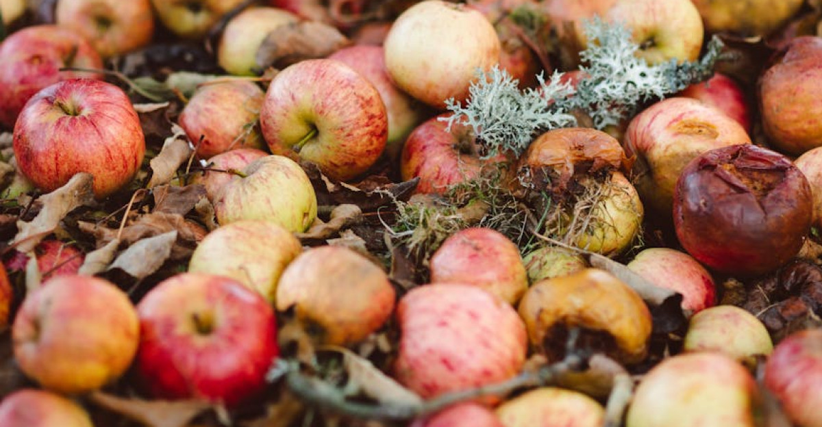 Broetje Orchard
