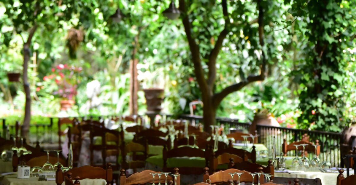 brown wooden chairs and tables near green trees during daytime