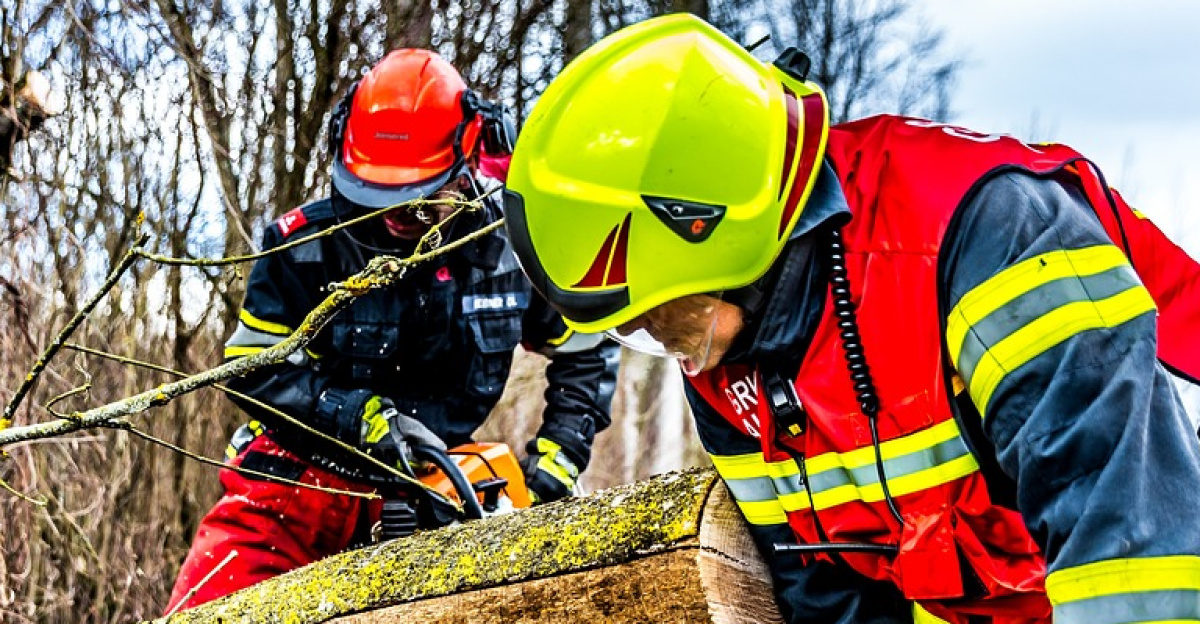 fire fighters, storm, tree, wind, storm damage, fire service, nature, firefighter